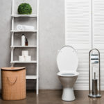 toilet-brush-holder-beside-toilet-seat-1