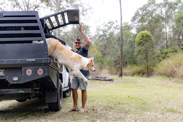 ute dog box