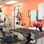 6 Essentials for Opening Your Own Grooming Salon