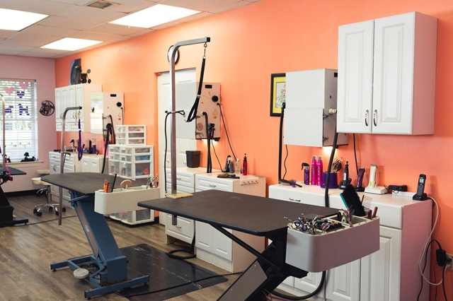 a beautiful grooming salon