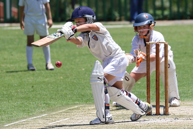 junior cricket batting gloves